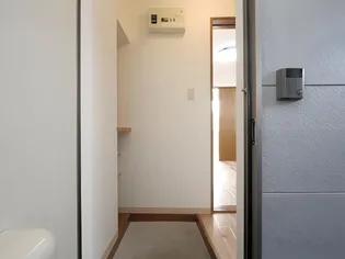 ハイアットプラザ【203号室】の玄関