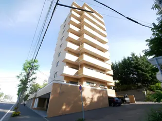 平岸パークヒルハイツ【905号室】の外観