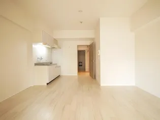 マッシモフェミニール菊水【202号室】の内装