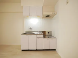 マッシモフェミニール菊水【202号室】のキッチン