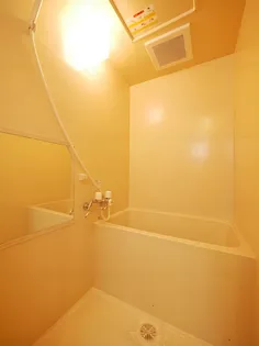 マッシモフェミニール菊水【202号室】の風呂