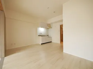 マッシモフェミニール菊水【202号室】のその他画像