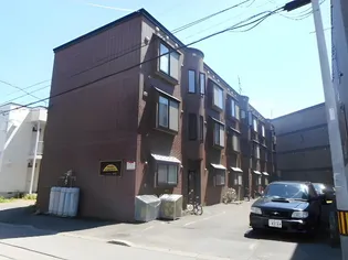 シャネル南郷の画像