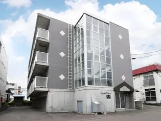 プロムコートの画像