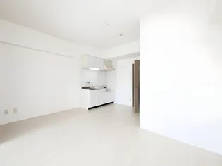 マッシモフェミニール菊水【602号室】の内装