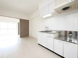 マッシモフェミニール菊水【602号室】のキッチン