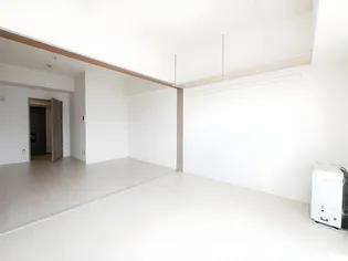 マッシモフェミニール菊水【602号室】のその他画像