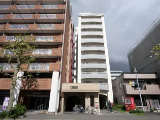 ローヤルハイツ南7条【1064号室】の外観