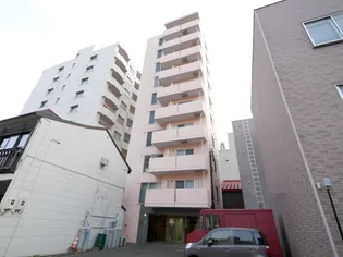 アイビーパレス52【3階】の外観