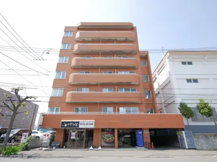 ブルームハイツ豊平【512号室】の外観