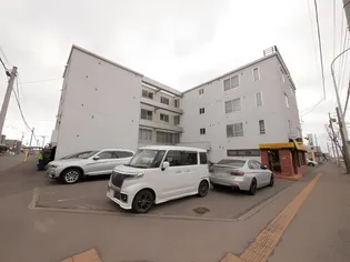 ハイムミントの画像