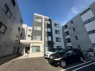 パインハート中の島の画像