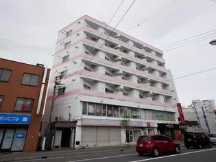 エクセレントハウス平岸【505号室】の外観