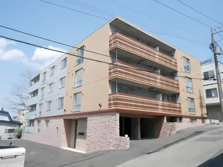 バーニーズヴィスタの画像