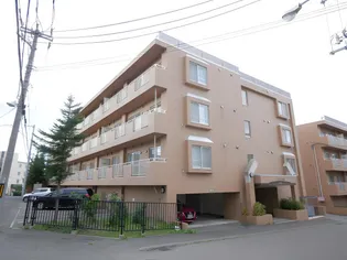 ノースパレス福住壱番館の画像