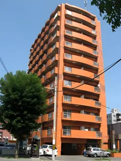 菊水コートの画像