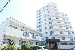 白石コートの画像