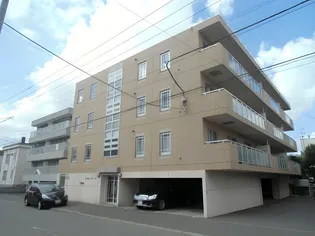 ラフィーコートの画像