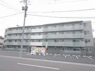 セントポーリアエールの画像