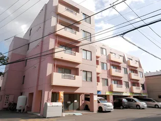 ヴィザージュ菊水【203号室】の外観