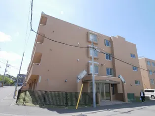 ノースパレス福住弐番館【307号室】の外観