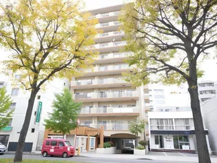 チサンマンション円山【7階】の外観