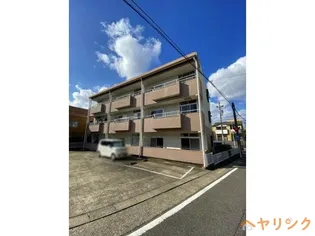 ルミナス87の画像
