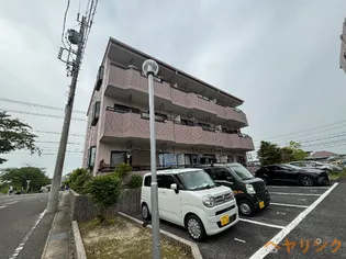 サンフラワーハイツA【202号室】の外観