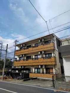 GRACE HARUOKAの画像