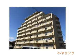ラジョーヌの画像