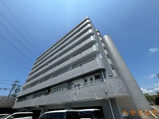 ラピスラズリ梅森坂の画像