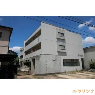 オレンジの画像