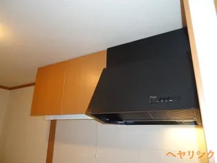 グランディールU【207号室】のキッチン