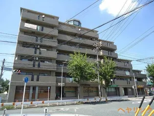 グレイス伸和の画像