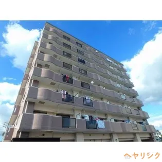 コスモIIの画像