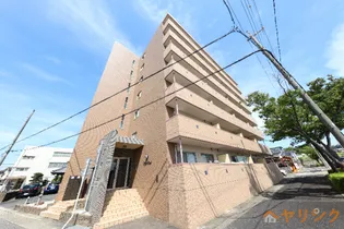 マーヴェラスの画像