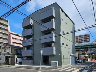 SUGARLOAF PARK花の木の画像