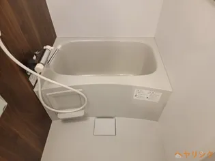 S-RESIDENCE志賀本通North【6階】の風呂