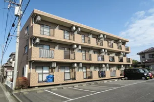 スプリングサニーの画像