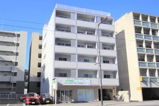 ライトフラッツビル【603号室】の外観