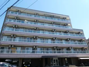 アクシスオオスミの画像