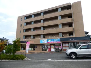 ボヌールボワの画像
