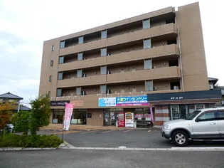 ボヌールボワの画像