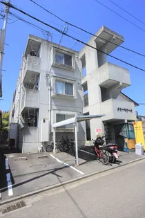 メリーモナークの画像