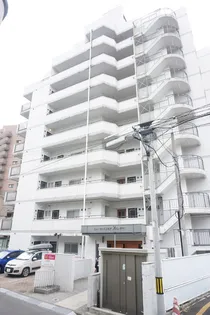 ヒューマンスクエアメゾンサカナチョウの画像