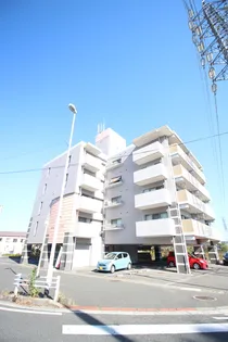 メゾンピザピノ【201号室】の外観