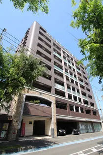 フェルトの画像