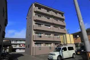 道後壱番館【405号室】の外観