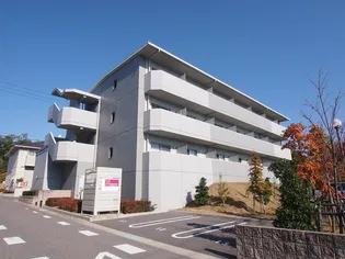 アヴァンセ市が洞の画像