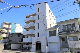 Eフラットの画像